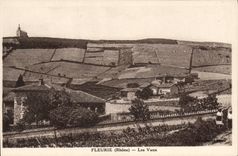 CPA Fleurie Les Vaux