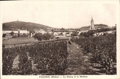 CPA Fleurie le Bourg Et La Madone