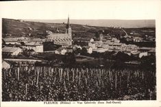 CPA Fleurie Vue Generale