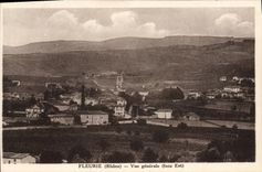CPA Fleurie Vue Generale