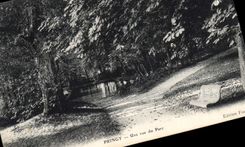 CPA Pringy Une Vue Du Parc
