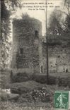 CPA Chaumes En Brie Ruines Du Chateau Royal du Vivier