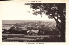 CPA Antibes Vue Generale