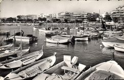 CPA Cannes Le Nouveau Port Du Palm Beach