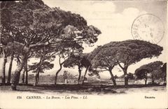 CPA Cannes La Bocca Les Pins