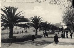 CPA Cannes Les Palmiers De La Place Du Casino