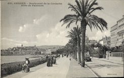 CPA Cannes Boulevard De La Croisette Allee De Palmiers