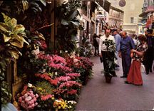 CPSM Cannes Rue Meynadier