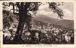 CPA Grasse Vue Entre Les Oliviers