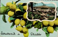 CPA Grasse souvenir citron