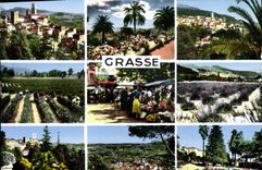 CPSM Grasse Souvenir