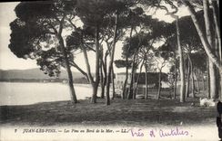CPA Juan Les Pins Les Pins Au Bord De La Mer