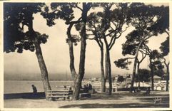 CPA Juan Les Pins La Plage Vue De La Pinede