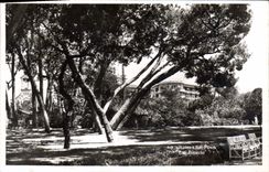 CPA Juan Les Pins La Pinede