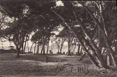 CPA Juan Les Pins La Pinede