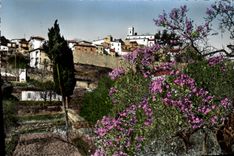 CPA Levens Au Printemps