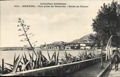 CPA Menton Vue Prise De Garavan Aloes En Fleurs