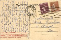 CPA Menton les Jardins Du Carei Palmiers