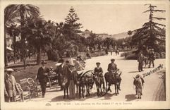 CPA Nice Les Jardins Du Roi Albert 1er casino