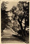 CPSM Nice Des Jardins Theodore De Banville avenue jean Lorrain