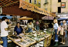 CPSM Nice Le marché aux poissons de la place Saint François