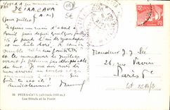 CPA Peira Cava Les Hotels Et La Foret