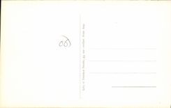 CPA Peira Cava Les Hotels Et La Foret