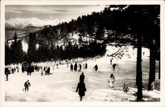 CPA Peira Cava Sports D'Hiver ski luge