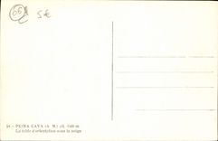 CPA Peira Cava table d'orientation sous la neige