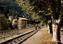 CPSM St Martin Vesubie La Promenade Et Chalet l'écureuil