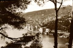CPA VILLEFRANCHE-sur-MER à travers les pins