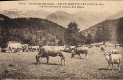 CPA SAINT-MARTIN-VESUBIE les colmianes