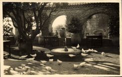 CPA SAINT-PAUL colombe d'or