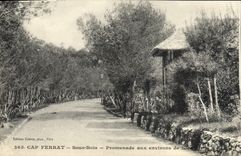 CPA CAP FERRAT sous-bois promenade