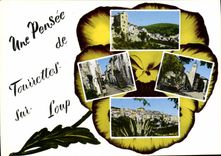 CPSM TOURRETTES-SUR-LOUP une pensée
