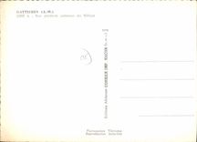 CPSM GATTIERES vue générale aérienne