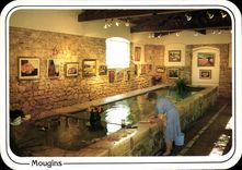 CPSM MOUGINS le lavoir galerie d'art