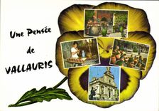 CPSM VALLAURIS une pensée