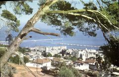 CPA ALGER vue panoramique