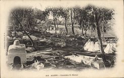 CPA ALGER cimetière El Kattar