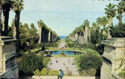 CPA ALGER jardin d'essai