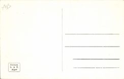 CPA ALGER jardin d'essai allée des bambous