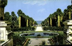 CPA ALGER jardin d'essai