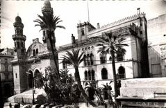 CPA ALGER la cathédrale et le palais d'hiver du gouverneur
