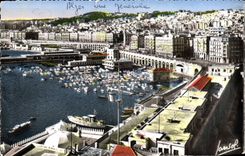 CPA ALGER vue générale