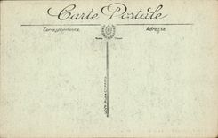 CPA ALGER vue entre les oliviers