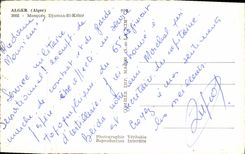 CPA ALGER mosquée Djamaa-El-Kébir