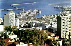 CPA ALGER vue générale