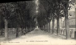 CPA Joigny Promenades Du Midi
