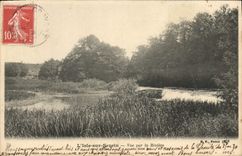 CPA L'Isle Sur Serein Vue Sur La Riviere